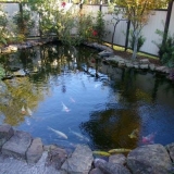 Kako sami napraviti ribnjak